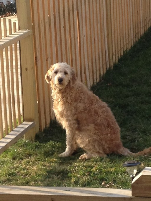 Oh cruel world. I preferred not having to see ye.