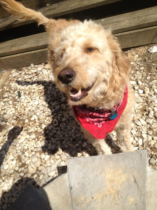 'I've got to admit it's getting better.'