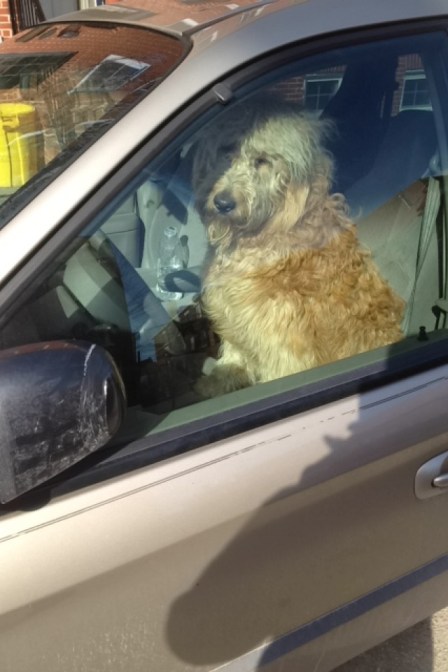 'Open the sun woof!'