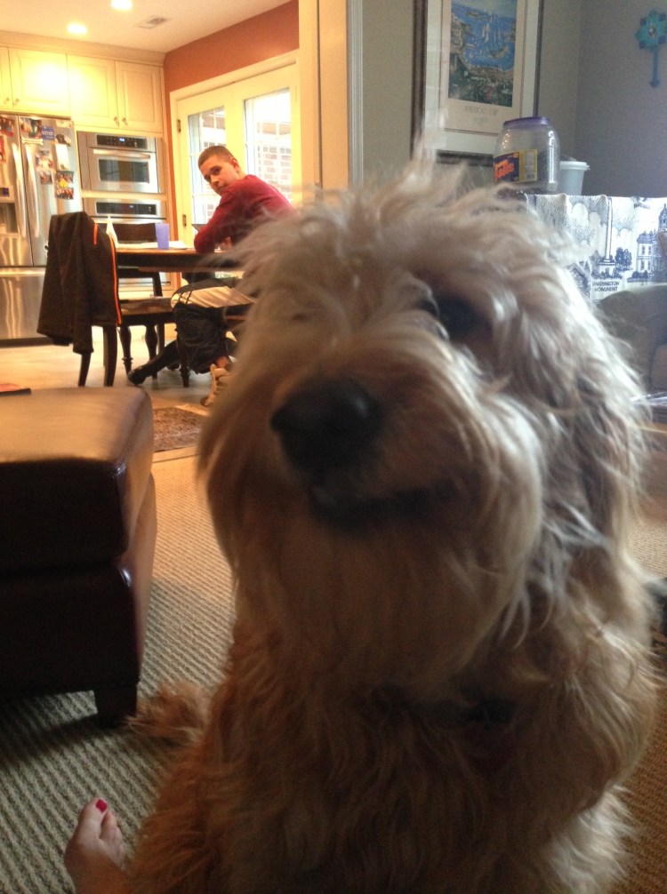 You didn't really think I was going to spend three days with my niece and only include one photo on my blog, did you?