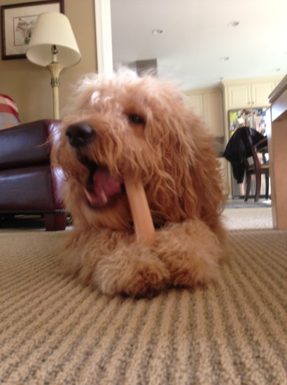 People = puppy in my lexicon, but you knew that.