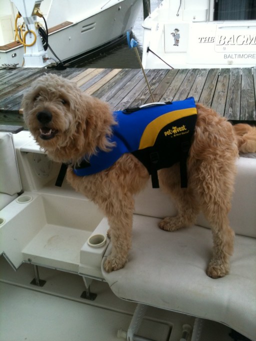 Keira brought her lifevest, like she planned.