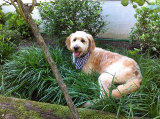 Dress well, like Keira.