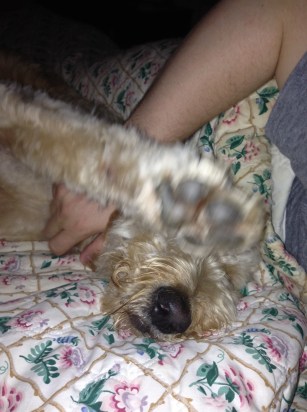 Wake up early, like Keira.