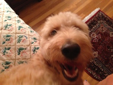 Stay inside, like Keira.