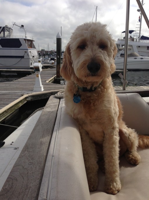 I. Demand. Dry. Land.