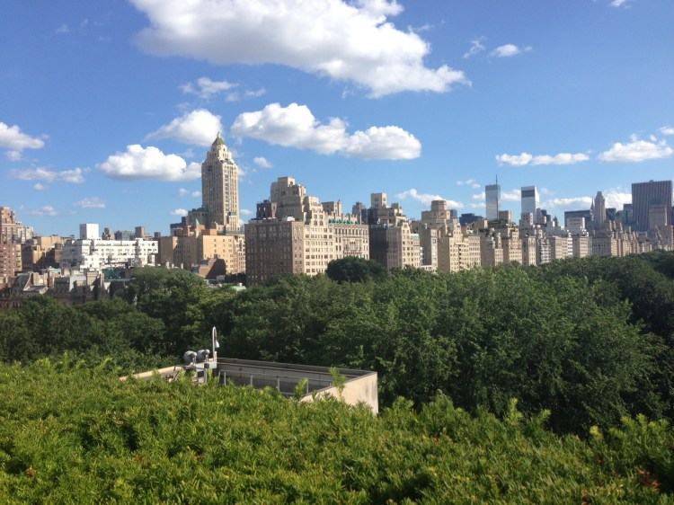 Central Park from the Met. Or maybe Central Park from my photographer bird friends. I'll never tell.