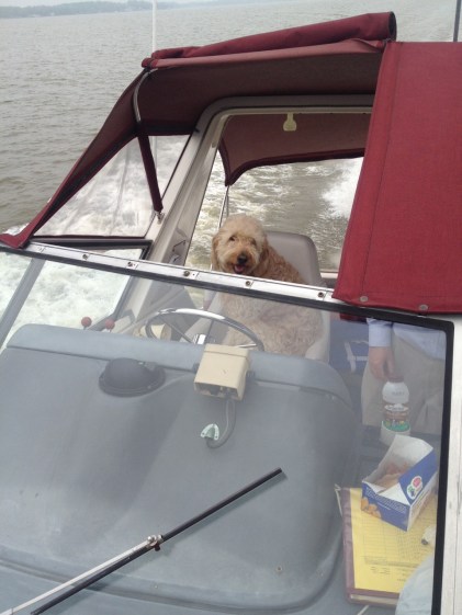 Like getting your boater's license!