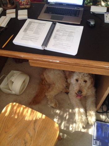 What? I'm helping dad study for the bar!