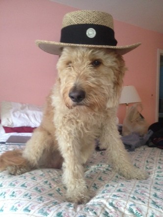 Fact: I wear the same hat to yoga.