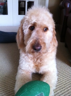 "I'm not all that happy about it, either."