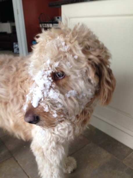 I'll work out tomorrow, I swear.