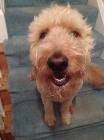 Sole Exception: When this buffoon is sitting on them.