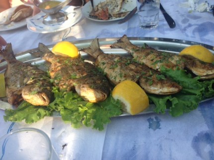 "Keep the head on and, uh, find out if it had a nickname." - Jim Gaffigan