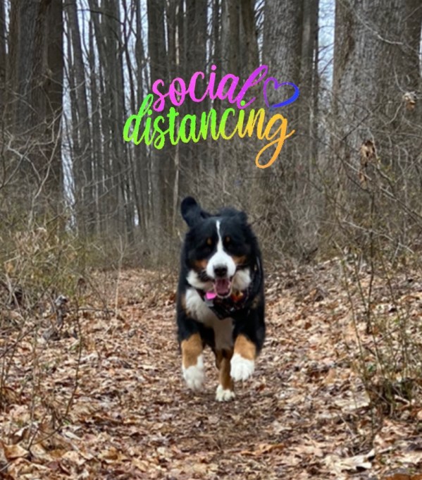 19d7522f-f648-47b1-a409-e1ca015ede4e